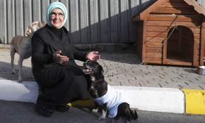 Emine Erdoğan, engelli köpek 'Leblebi'yi sahiplendi
