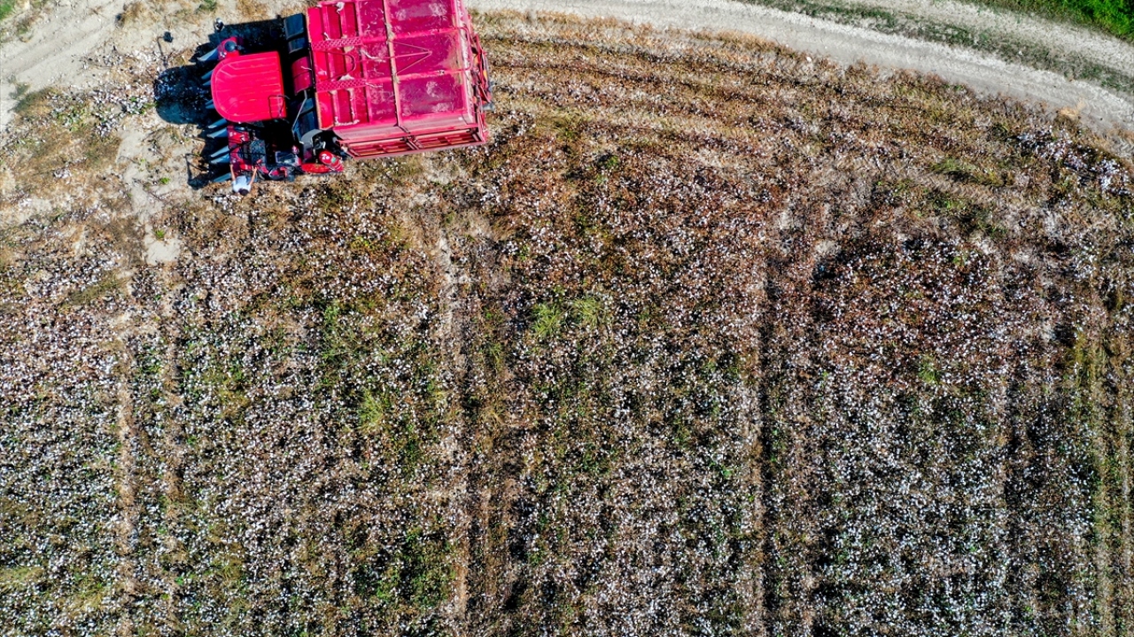 Örtü altı tarımda önemli bir yere sahip olan kent, oldukça zengin ürün çeşitliliğiyle dikkati çekiyor. 