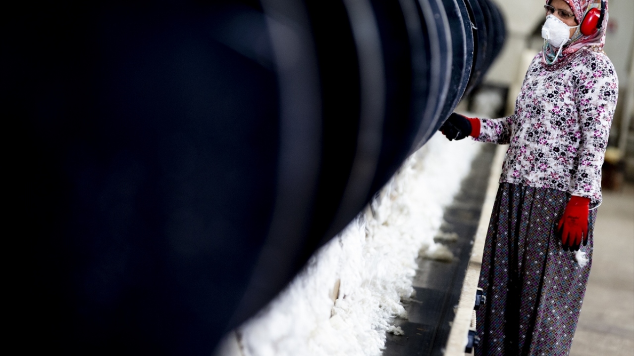 Yaklaşık 2 bin 500 çiftçinin pamuk üretimi yaptığı tarlalarda, hasat için ter dökülüyor.