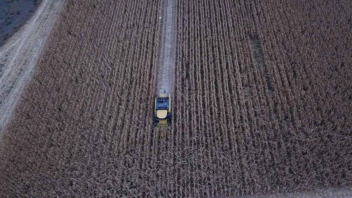 Özellikle son dönemde tohumdan başlayıp, market rafına kadar gidecek bir yapıyı oluşturmaya çalıştıklarını belirten Poyraz, sözlerini şöyle sürdürdü: 