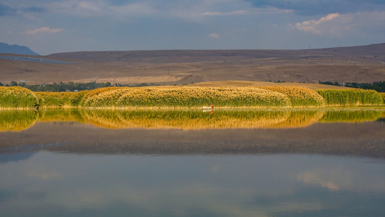 Doğanın muhteşem güzelliği, Van Gölü`nün sığ kıyılarında bulunan ve kuş cenneti olarak da bilinen sazlık alanların sularına yansıyor. 