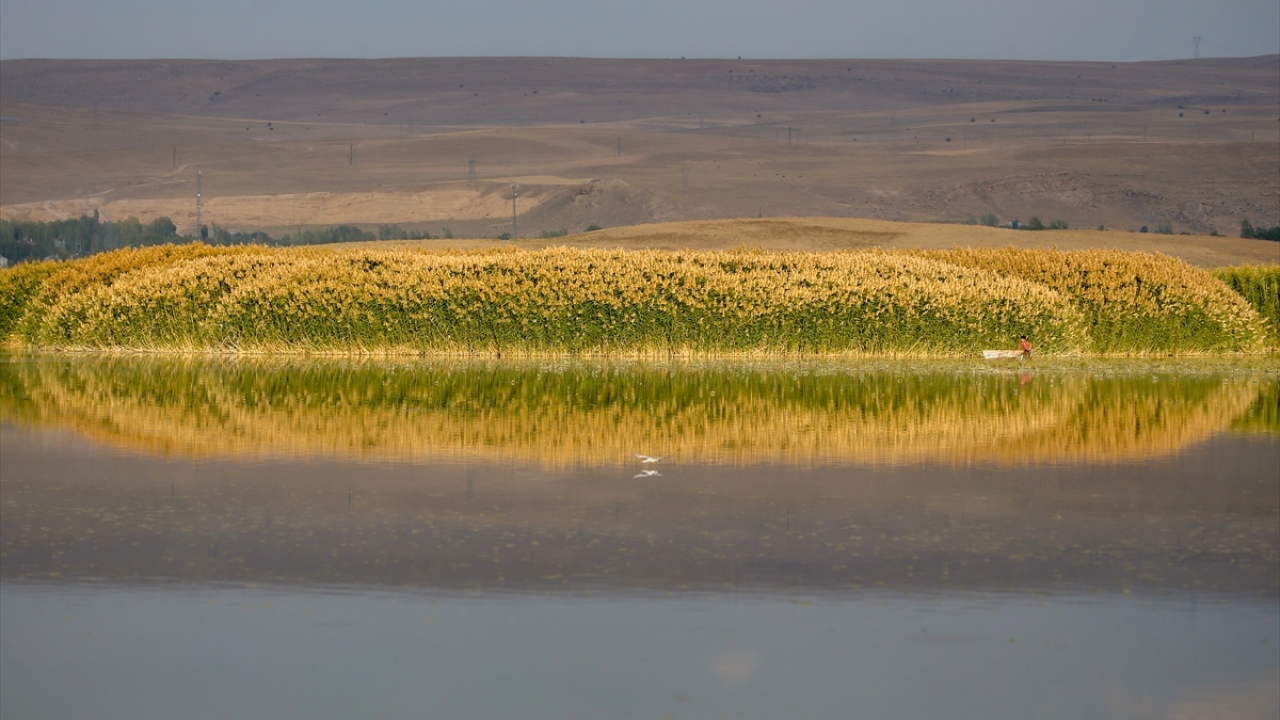 Şehrin gürültülü ortamından uzaklaşmak isteyen vatandaşlar buraya gelerek manzaranın tadını çıkarıyorlar.
