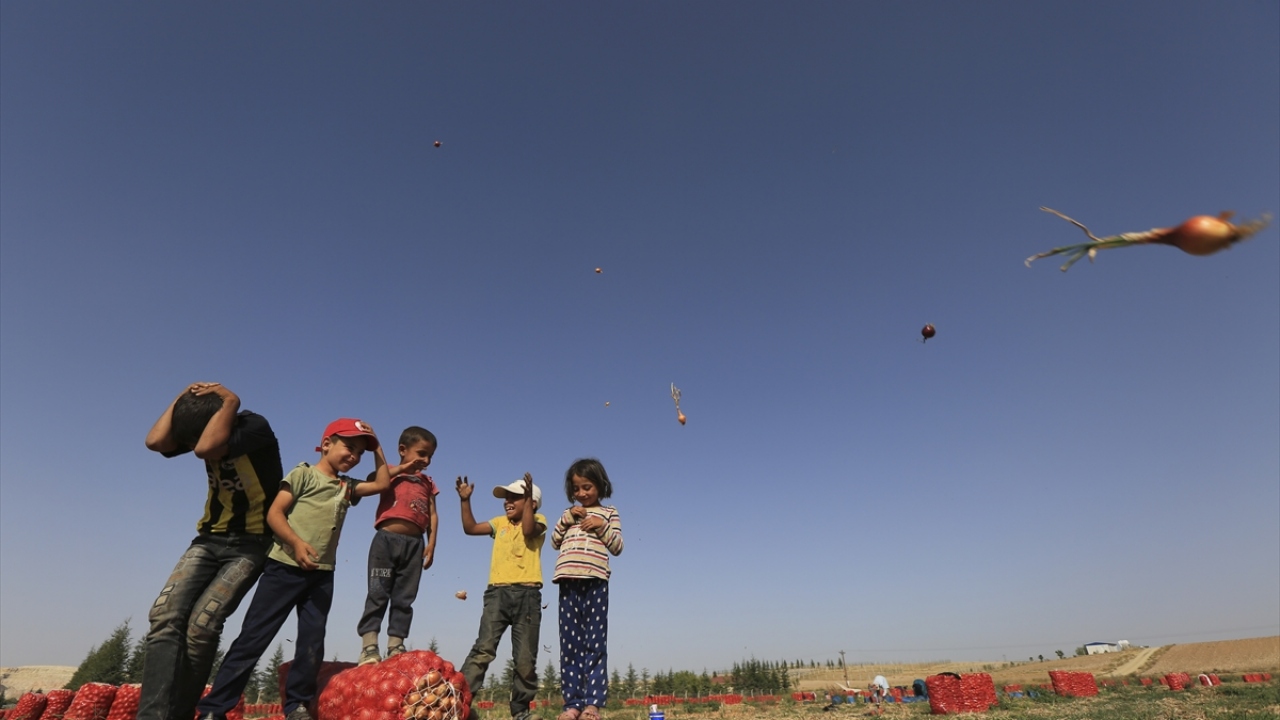 Sıcak hava, toz, hijyen sorunu, sağlıklı içme suyu bulamama gibi olumsuz koşullardan ise en çok, anne babaları tarlada çalıştığı için aileleriyle arazide günü geçirmek zorunda olan 0-6 yaş grubu çocuklar etkileniyor.