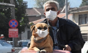 "Fındık" maskesiz gezmiyor