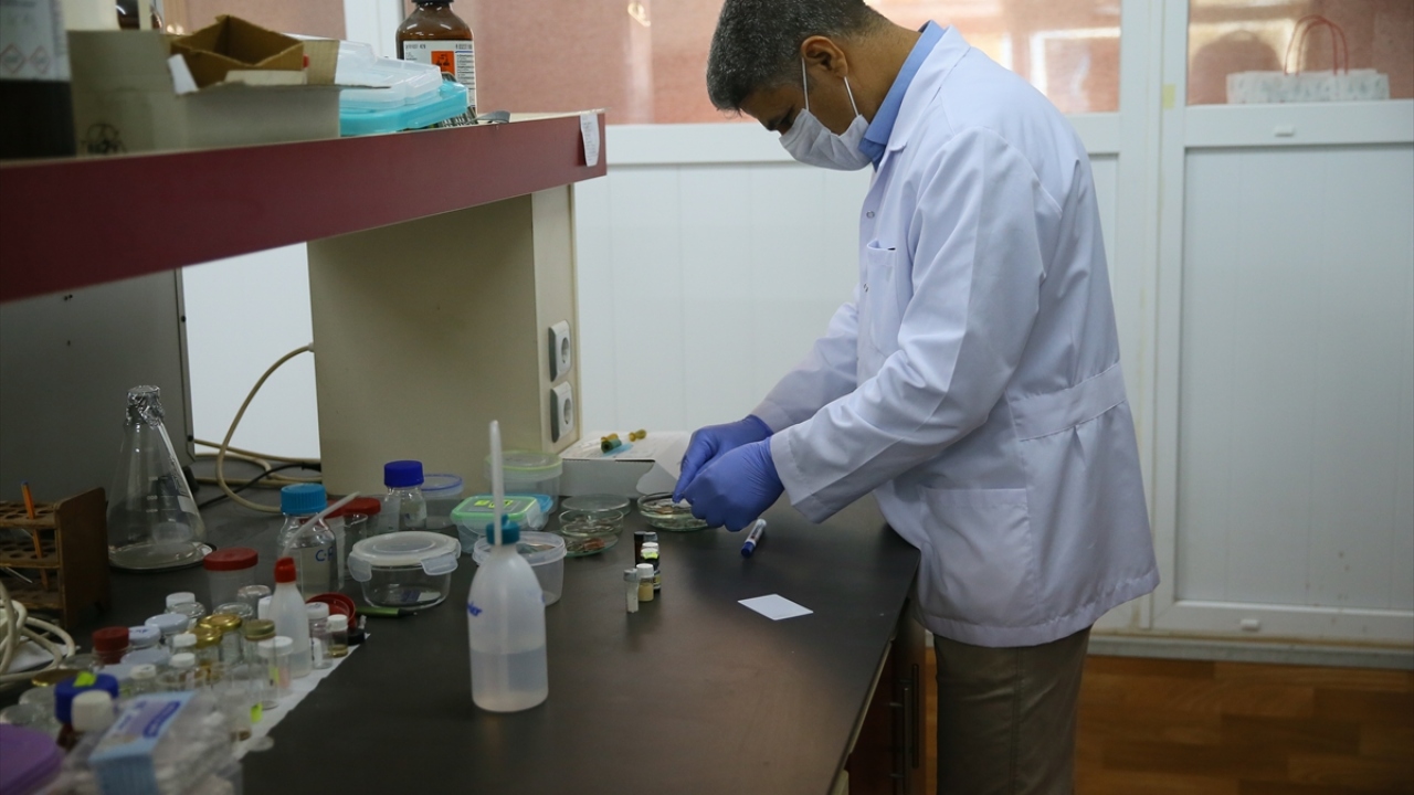 Enstitü Müdürü ve EÜ Enerji Anabilim Dalı Başkanı Prof. Dr. Şule Erten Ela öncülüğündeki "Ela Araştırma Grubu" tarafından, ışığı elektrik akımına dönüştüren güneş pillerinin verimliliğini arttırmaya yönelik proje başlatıldı. 