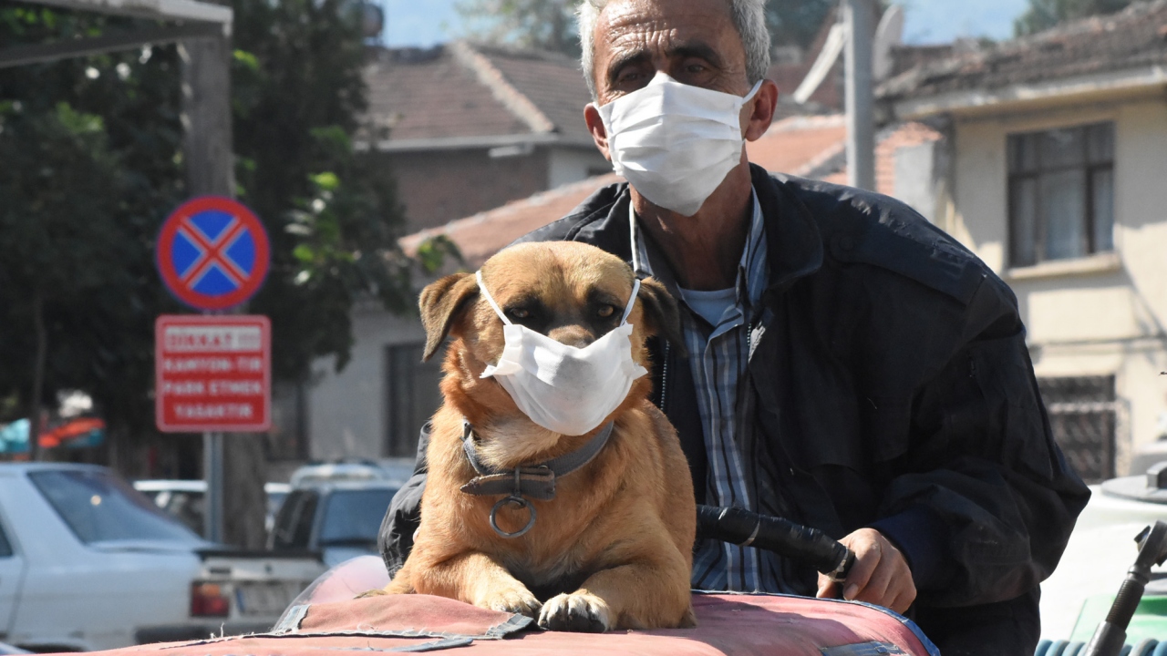 Geçen sürede köpekle arasında bağ oluşan ve köpeğe `Fındık` ismini veren Zoraslan, gittiği her yere Fındık`ı da götürmeye başladı.