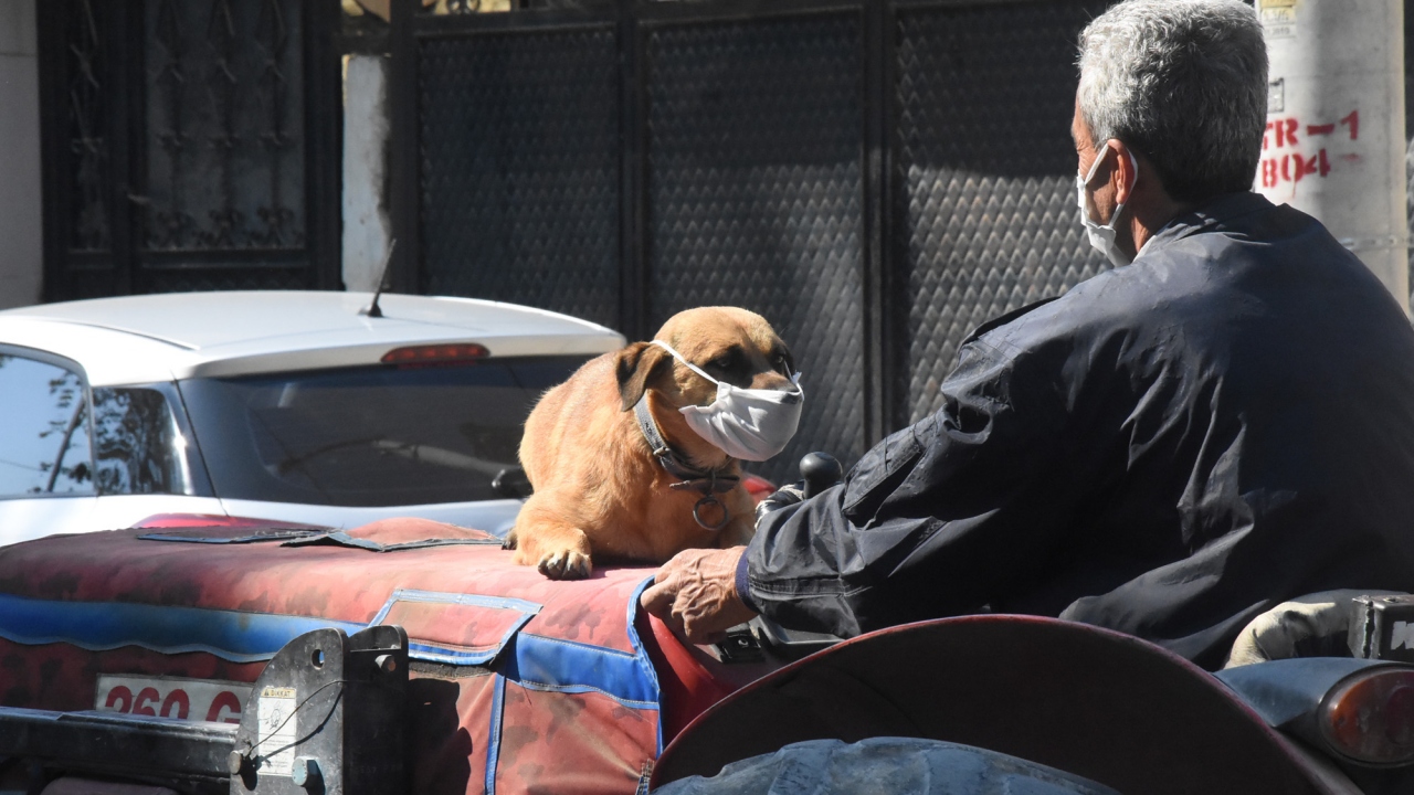 Bursa`nın İnegöl ilçesinde çiftçilik yapan Murat Zoraslan, 2 yıl önce oğlu için köpek aldı. 