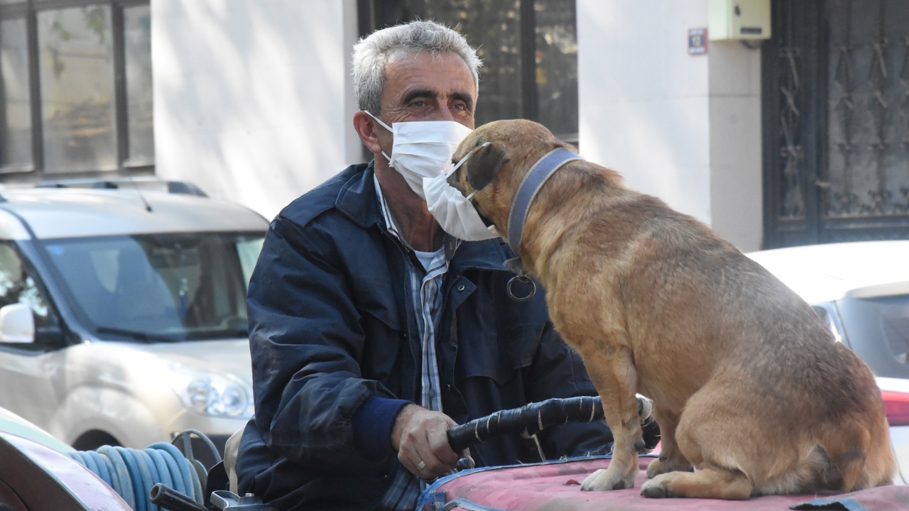 Koronavirüs tedbirleri kapsamında maske kuralının gelmesiyle birlikte, kendisinin yanı sıra köpeğine maske takan çiftçi, köpeğini de bu duruma alıştırdı. 