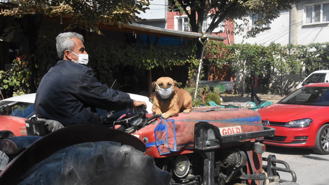 Maskeyi yüzünden çıkarmayan Fındık, çevredeki vatandaşların da ilgisini çekiyor.