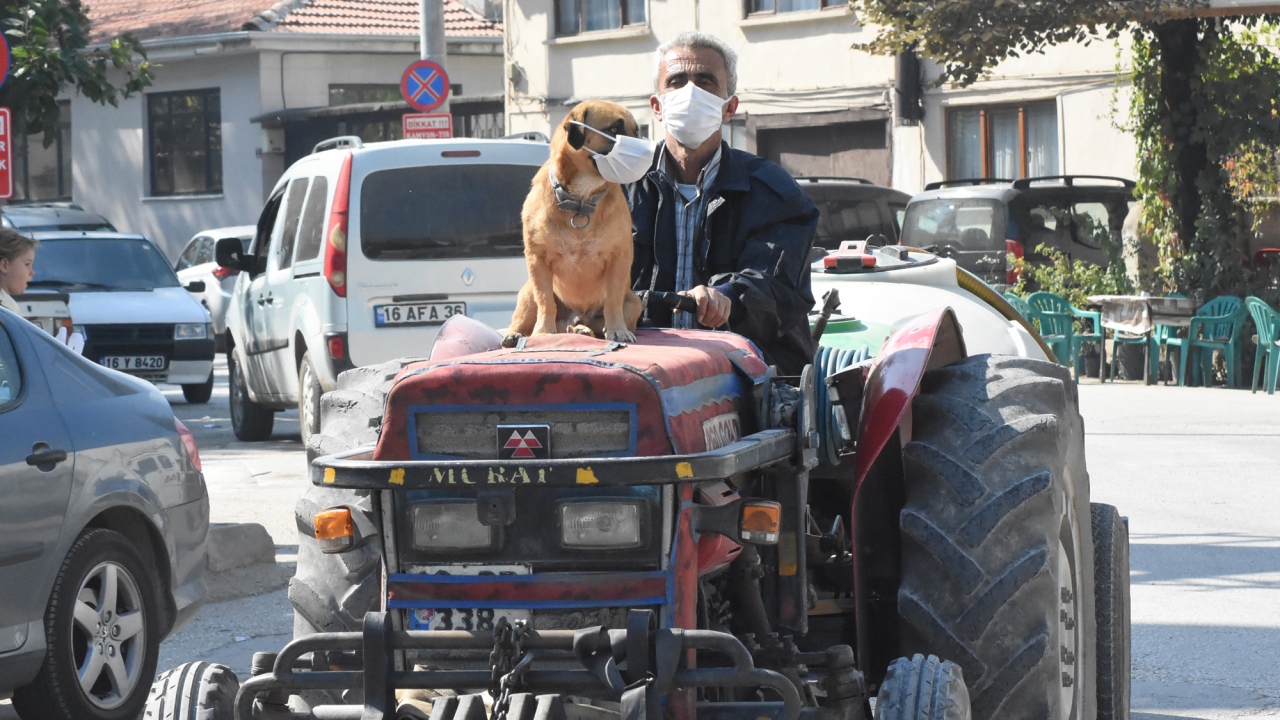 Traktörün üzerinde sahibi ile yolculuk yapan Fındık`ı gören vatandaşlar, şaşkınlığını gizleyemiyor.