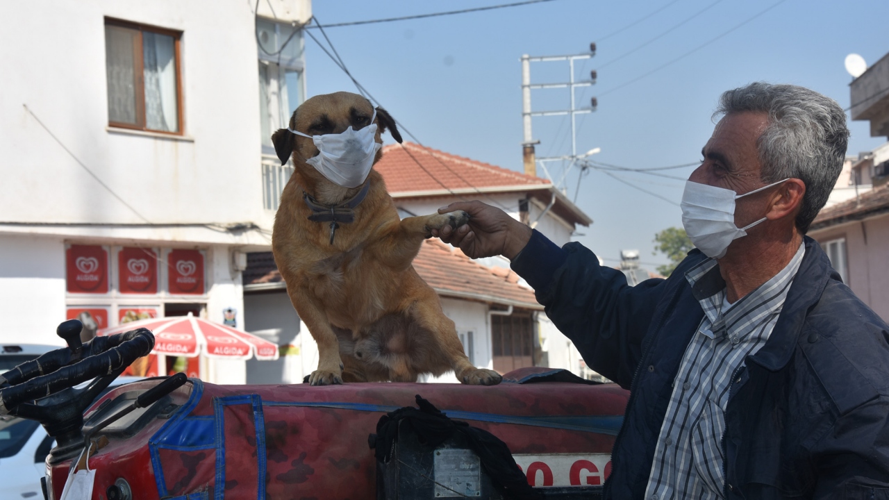 "İnsanlar maske takmıyor, o takıyor"
