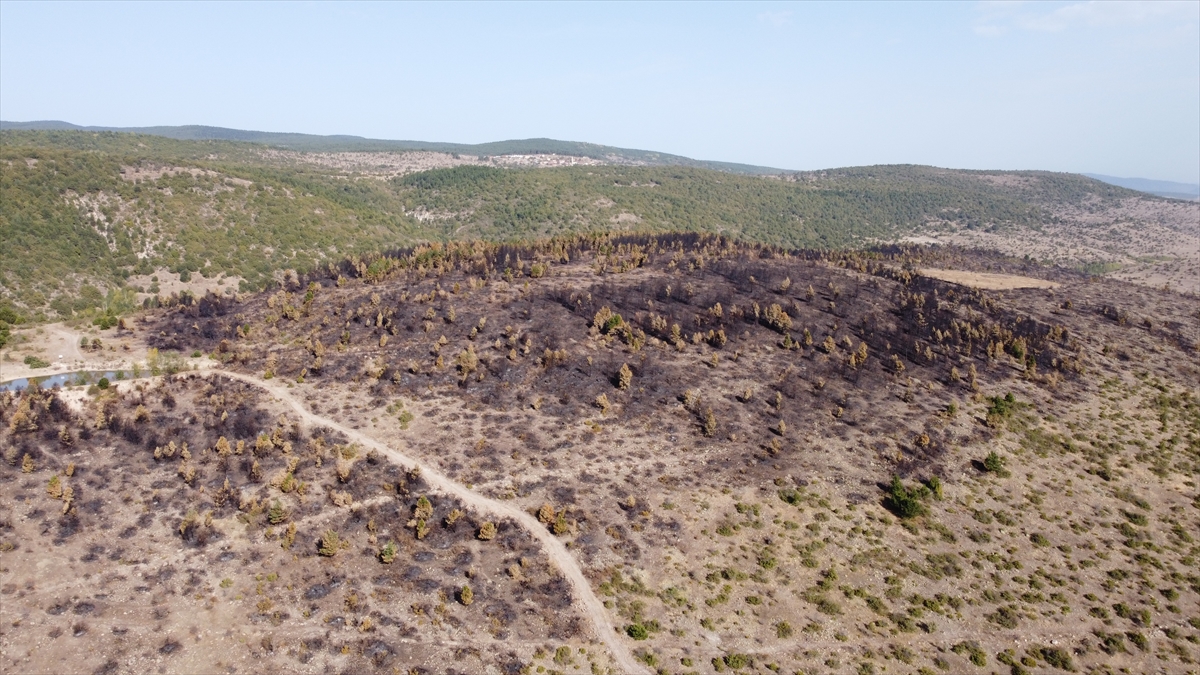 Köroğlu Dağları Ortaköy mevkisinde 27 Eylül`de çıkan, ekiplerin havadan ve karadan müdahalesiyle söndürülen yangında geniş bir alan zarar gördü.