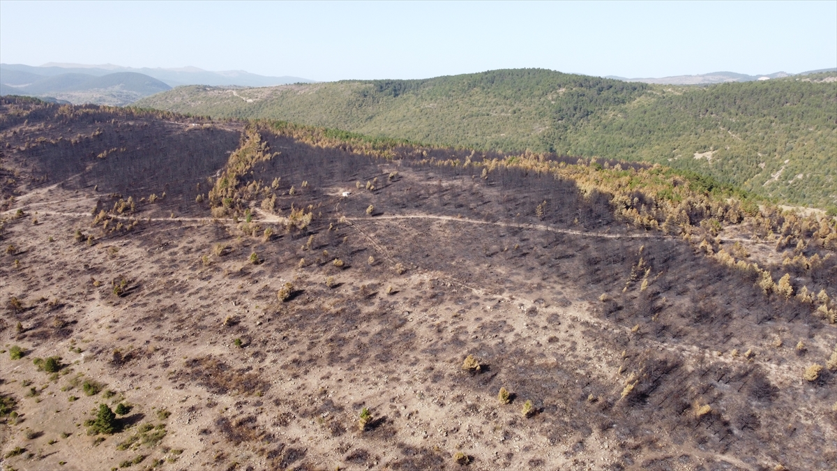 Ekipler tarafından yapılan incelemelerin ardından iş makineleriyle çalışma başlatıldı.