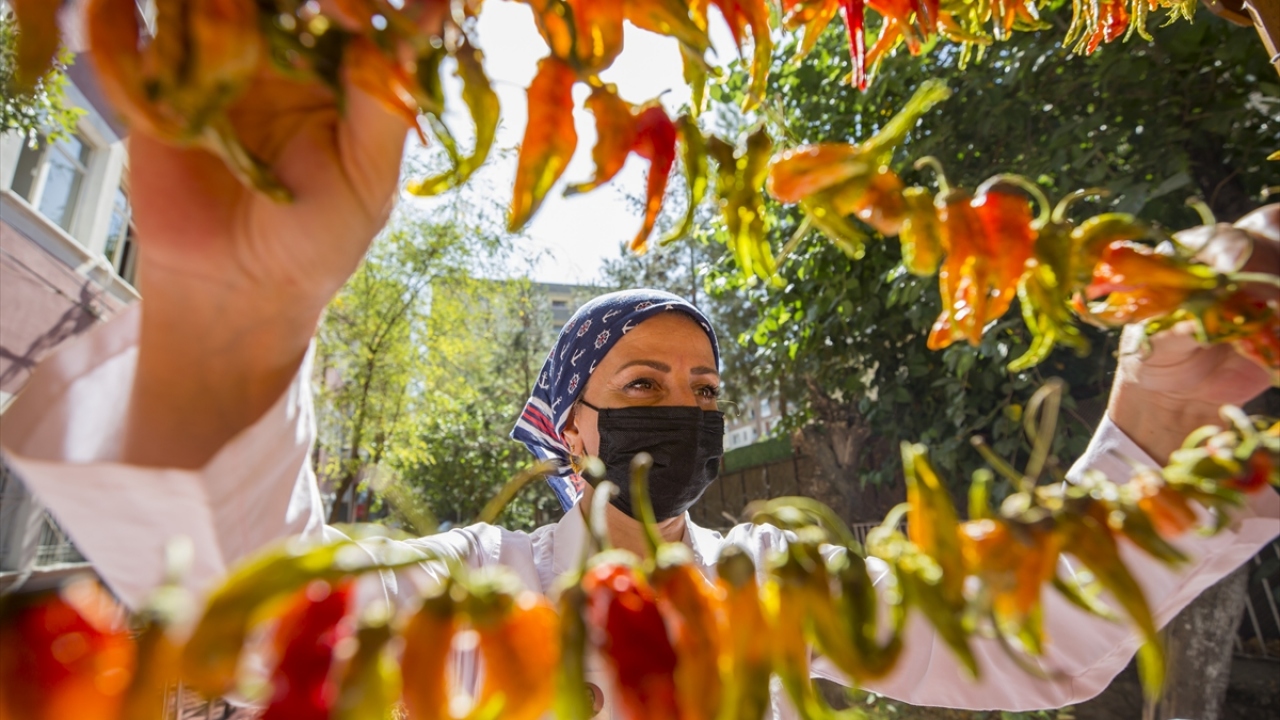 Enstitü Müdürü Ayşe Adıgüzel, bu yılki temalarını kış hazırlıkları olarak belirlediklerini ve yoğun şekilde çalışmalarını sürdürdüklerini anlattı.