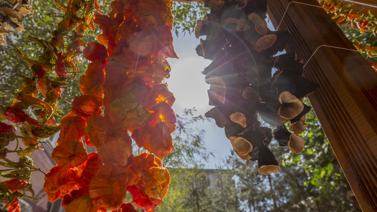 Adıgüzel, ürünleri internet siteleri ve sosyal paylaşım ağları üzerinden satışa sundukları söyledi.