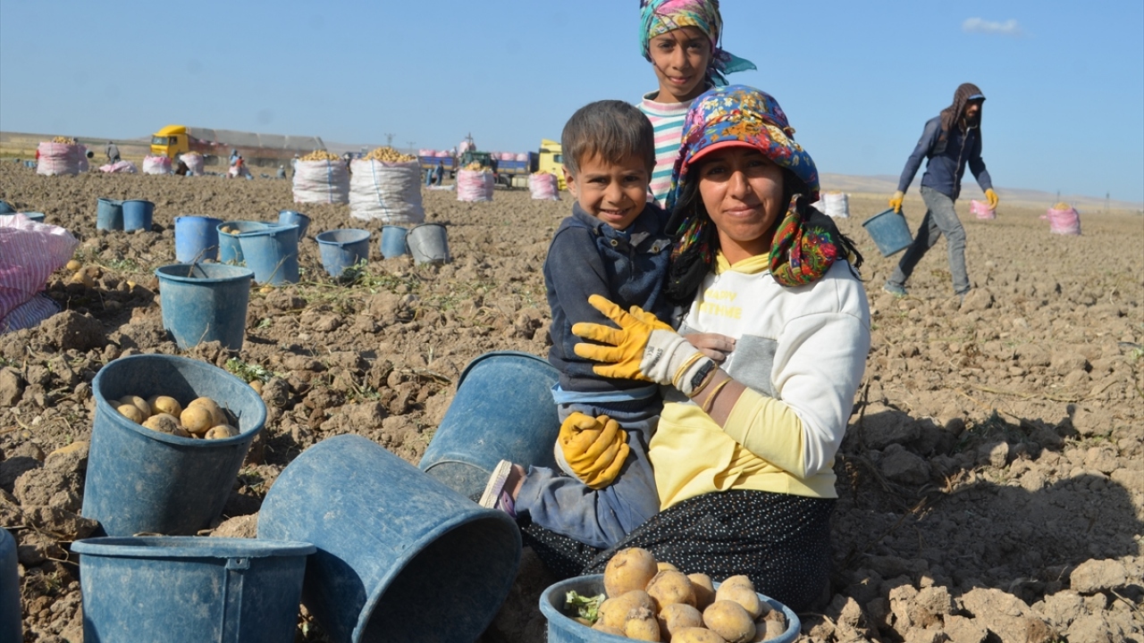Çocukluğundan bugüne kadar mevsimlik işçi olarak çalışan 32 yaşındaki Aynur İnan, şartların kendilerini zorladığını ifade etti.