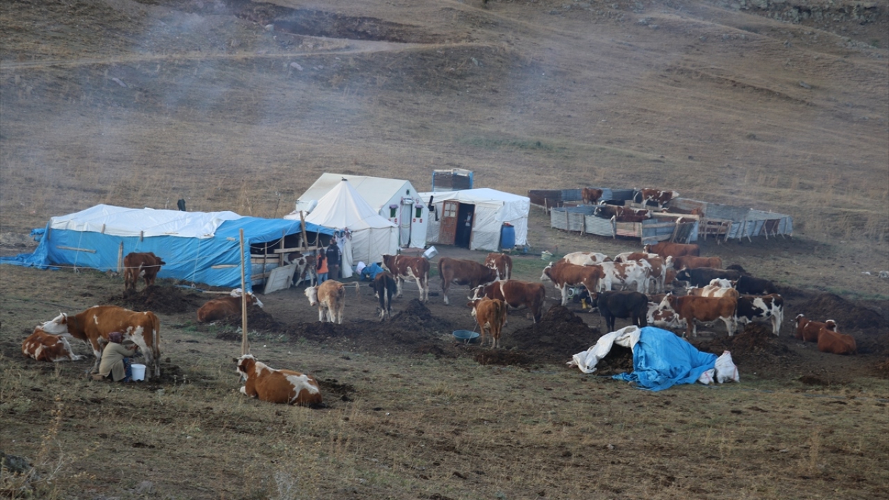 Türkiye`nin büyükbaş ve küçükbaş hayvan ihtiyacının büyük bölümünü karşılayan Ağrı`daki yaylalar, her yıl yaz aylarında geçimini hayvancılıkla sağlayan yüzlerce göçer aileye ev sahipliği yapıyor. 
