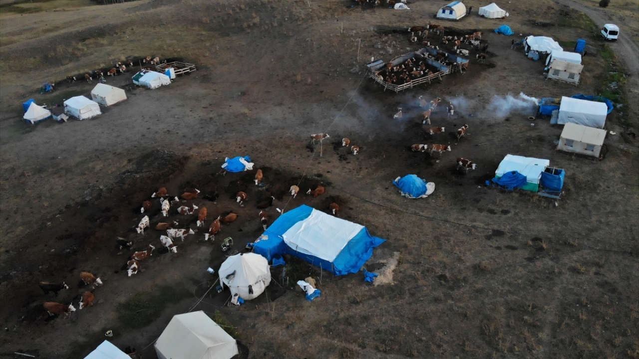 Kış mevsimlerinin çetin geçtiği Ağrı`da, ilkbaharda karların erimesiyle zengin bitki örtüsüne kavuşan Cumaçay köyü yakınındaki yayla, Iğdırlı göçer aileleri ağırlıyor. 