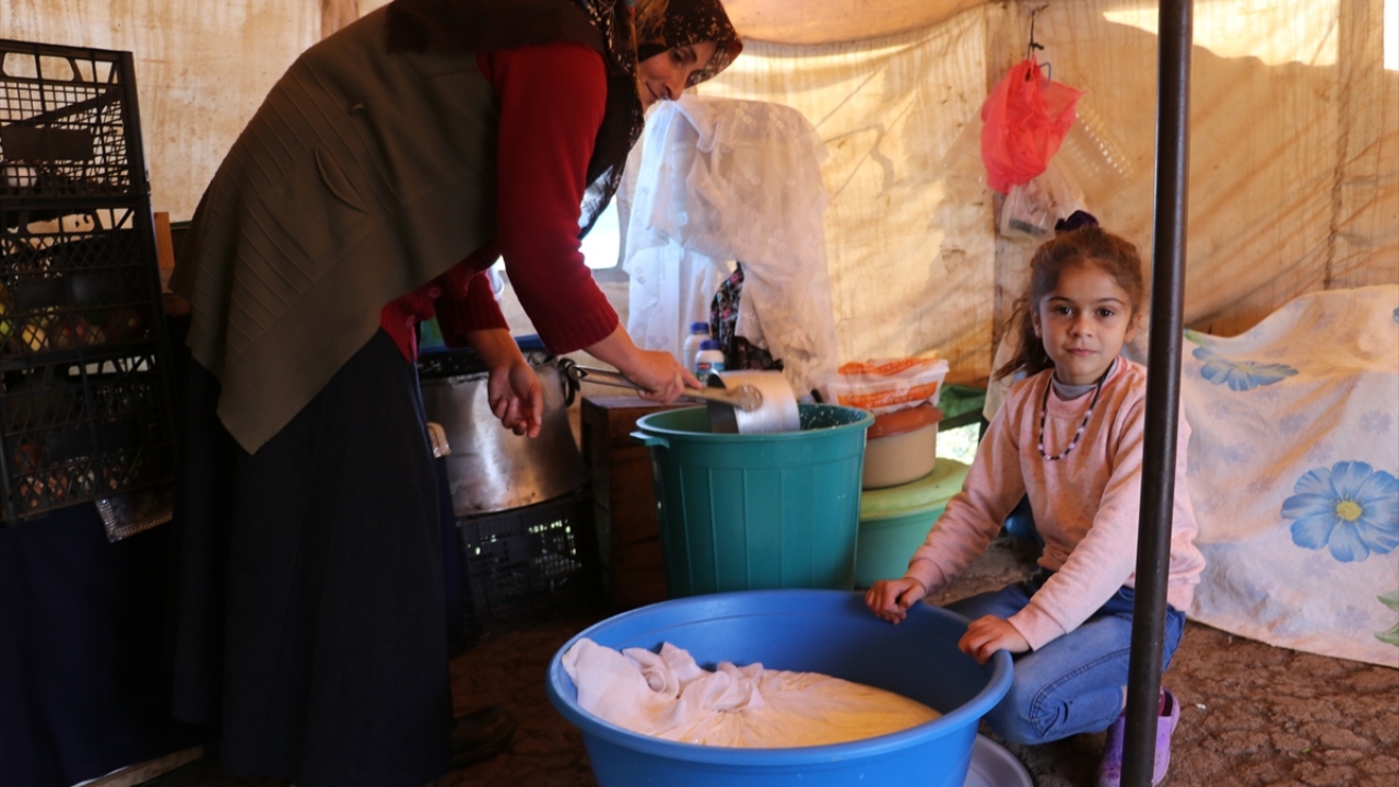 Mayısta simental cinsi büyükbaş hayvanlarını verimli bölgelerde otlatmak için tırlara yükleyerek Ağrı`ya getiren göçerler, yaylaya çadırlarını kurarak yılın yaklaşık 6 ayı burada konaklıyor. 