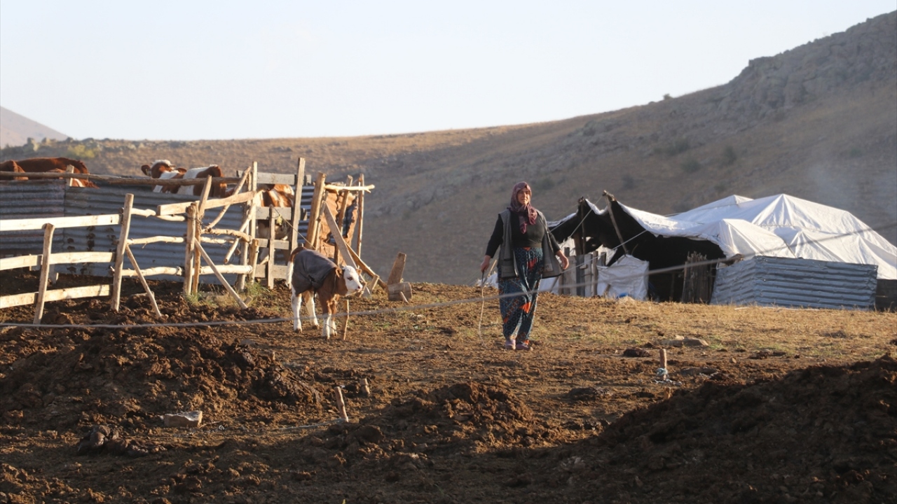 Tek geçim kaynakları hayvanlarını otlatmak için yaylaya geldiklerini belirten Kızılay, şunları kaydetti: