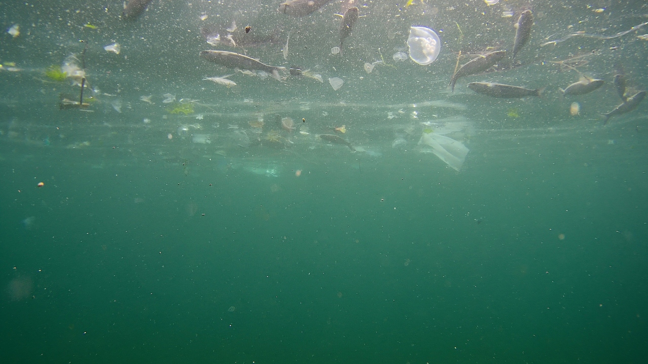 Görüntülerde maskeden poşete kadar birçok atık olduğu görülürken, bir yandan da balıkların yüzdüğü görüldü.