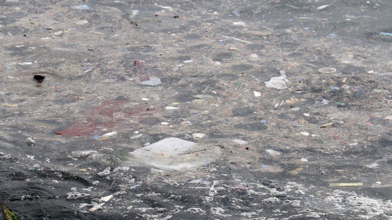 “Belediye araçları sahil şeridinden geçmediği için buralar hep pislik içinde” 