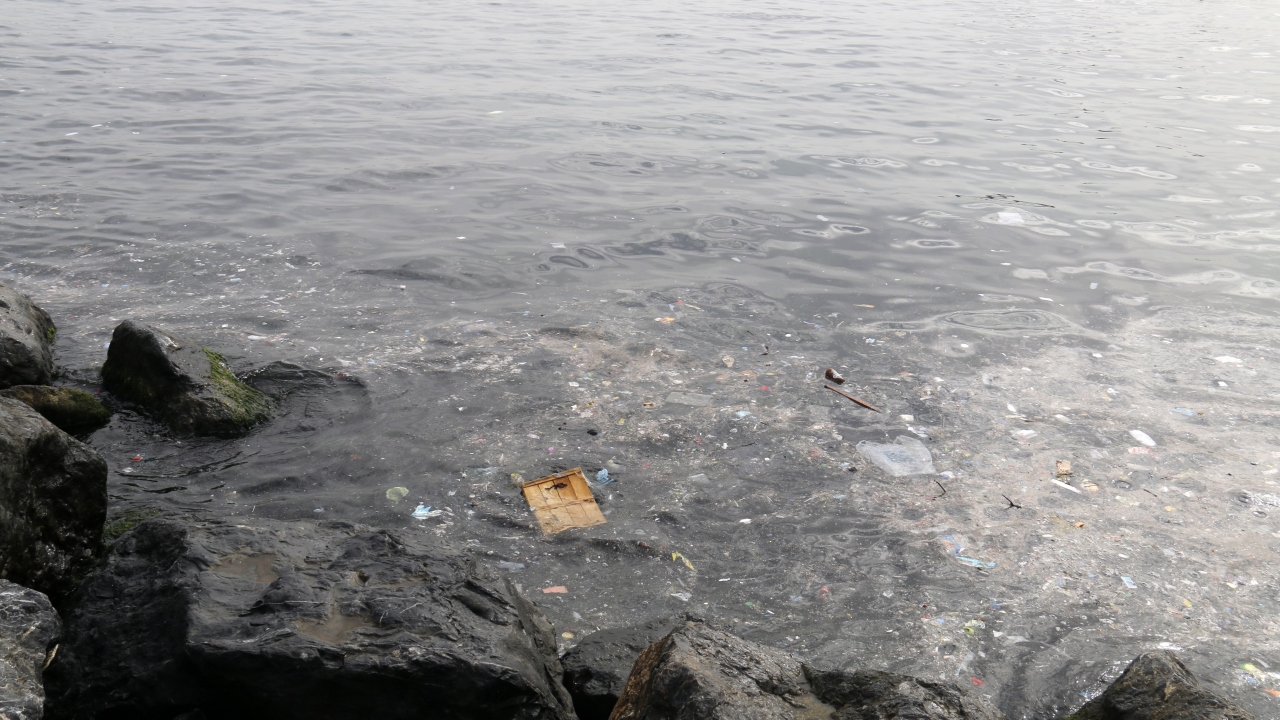 “Çöplerden dolayı çok kötü bir koku oluyor” 