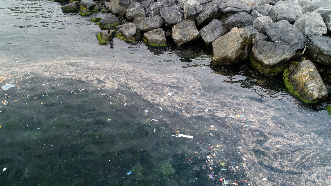 Sahile gezmek için gelen vatandaşlar da çöplerin oluşturduğu kirliliğe ve kötü kokuya isyan etti. 