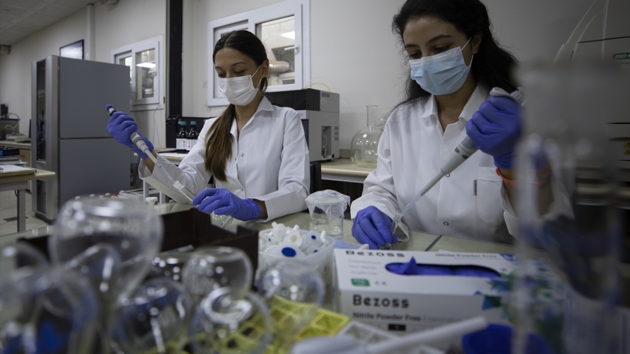 Budak, sözlerini şöyle sürdürdü: