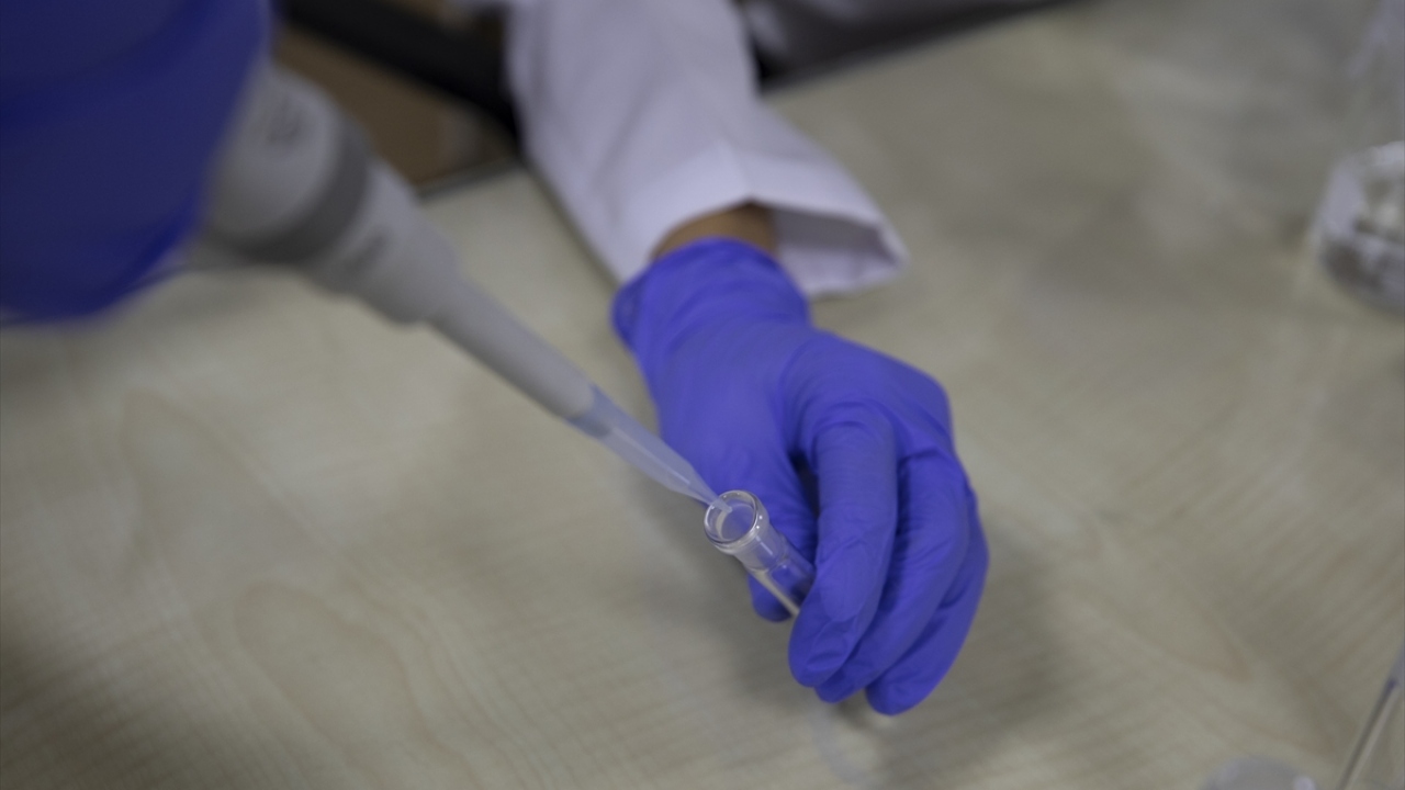 EÜ Tıp Fakültesi Aşı Araştırma ve Geliştirme Laboratuvarı Yöneticisi Doç. Dr. Mert Döşkaya ise geliştirdikleri aşının "bağışık yanıtı uyarma özelliğini" test ettiklerini aktardı.