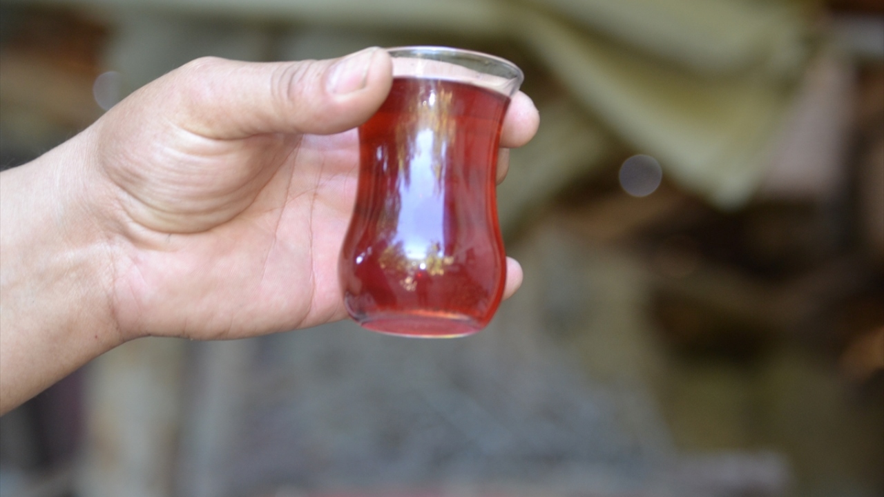 Büyükacar, "Türkiye`nin birçok yerine pekmezi gönderiyoruz. Pekmezin kilosunu 75 liradan satıyoruz." dedi.