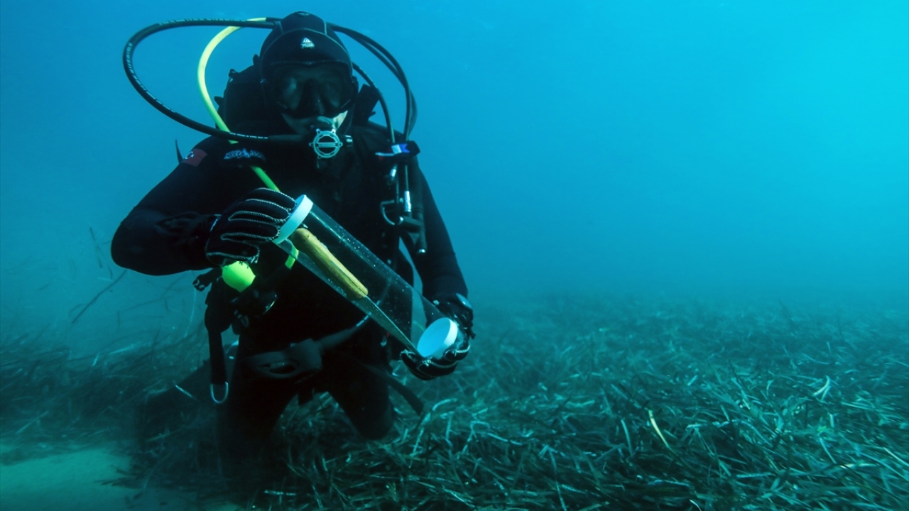 Görevleri sadece su altında insan kurtarmak olmayan ekip, deniz dibinde olay yeri incelemesi de yapıyor.