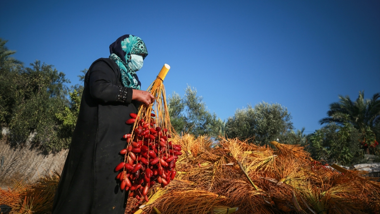 Hasat edilen hurmaların işlendiği imalathanede çalışan kadınlar, hem aile ekonomisine, hem de hurmadan yapılan geleneksel lezzetlerin unutulmamasına katkı sunuyor. 