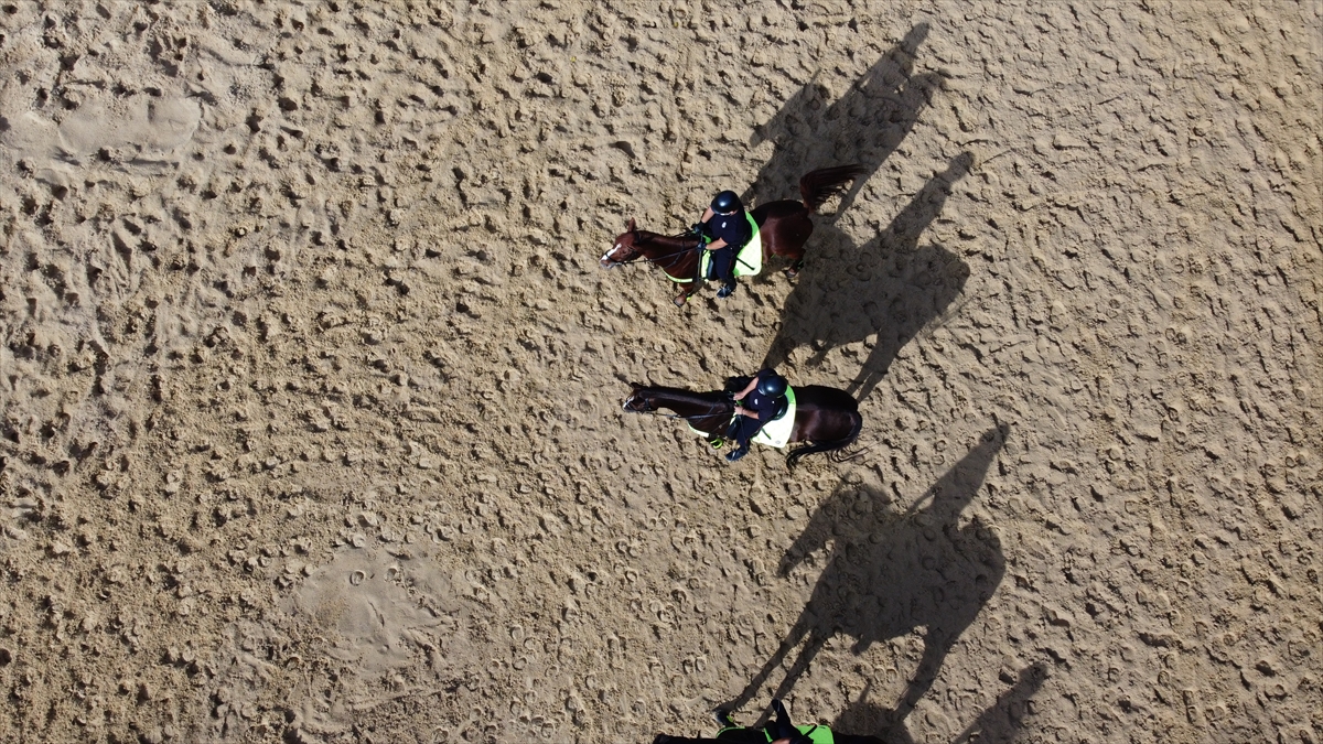 Bu kapsamda ekiplerin hazırlıkları devam ederken, "Nutuk", "Sancak", "Altay", "Canberk" ve "Van Persie" isimli eğitimli atlar Osmangazi ilçesinde kendileri için özel  hazırlanan alana getirildi.