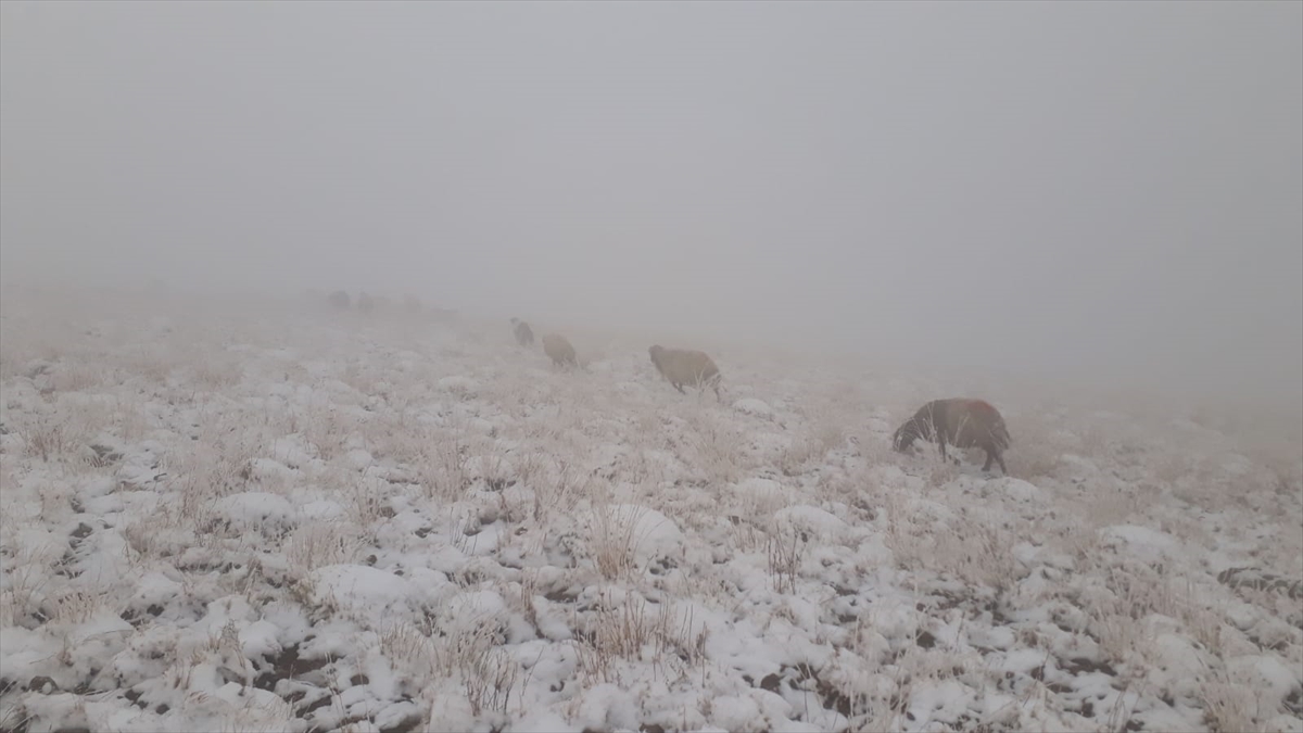 İlçedeki yüksek tepeler kar yağışıyla beyaza büründü.