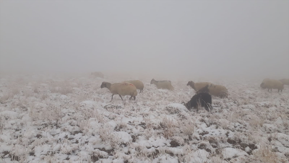 Küçükbaş hayvanlarını otlatmaya götüren besiciler de kar nedeniyle zor anlar yaşadı.