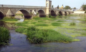 Tunca Nehri yeşile büründü