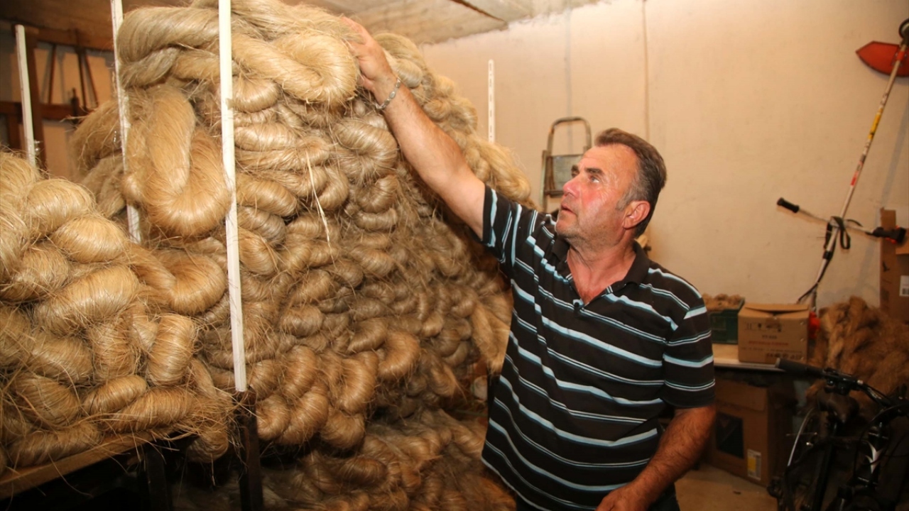 Samsun`un Vezirköprü ilçesinden kenevir hasadı için gelen Fazıl Murat ise çocukluğundan bu yana neredeyse 40 yıldır kenevir işiyle uğraştığını aktardı. 