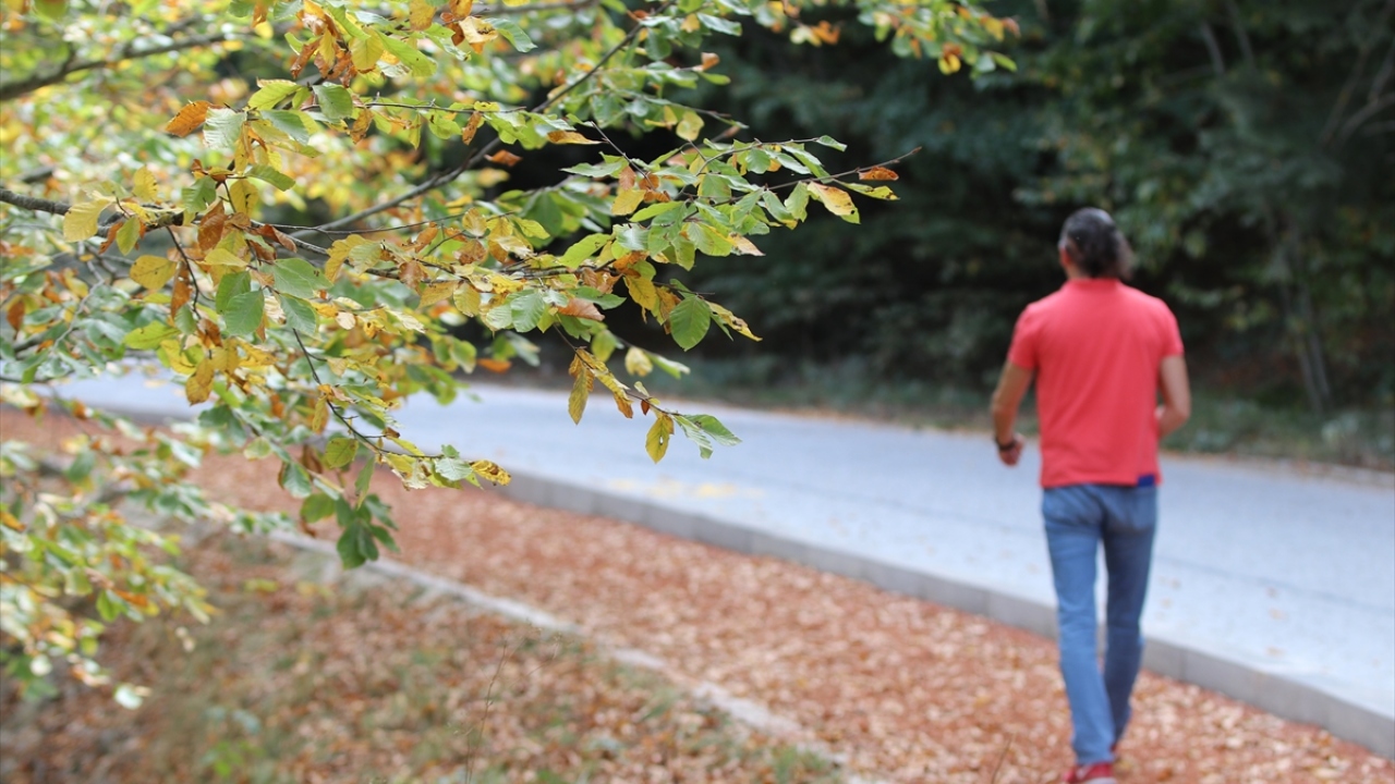 Abant alası, sazan ve tatlı su kefali balıklarının bulunduğu Abant Gölü ise adeta akvaryum gibi tatilcilere görsel şölen sunuyor. 
