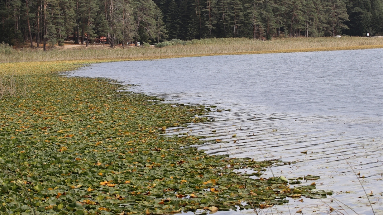 Günübirlik ya da konaklamak için tabiat parkına gelenler, göl çevresinde yürüyüş yaparak, bisiklete, ata ve faytona binerek, piknik yapak tatilin keyfini çıkartıyor.