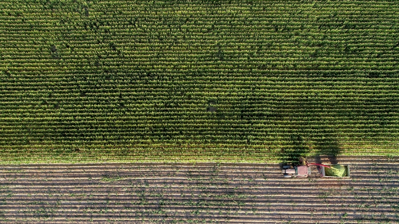 Batman`dan gelerek Van`daki arazilerde üretim yapan Selahattin Yaşar, bu yıl rekoltenin  beklentileri karşıladığını belirtti.