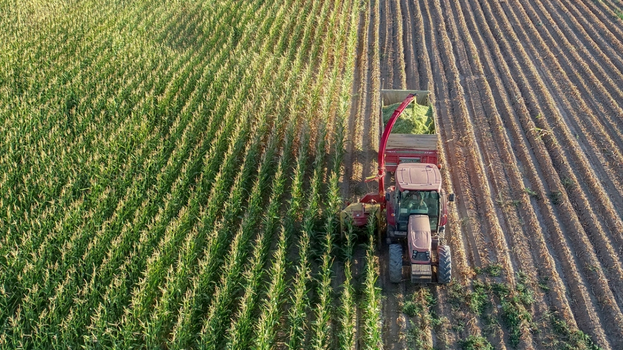 Yaşar, ekimden hasat sürecine kadar kendilerine destek veren Van Tarım ve Orman İl Müdürü İbrahim Görentaş ve arazi sahibi Levent Bayram`a teşekkür etti.