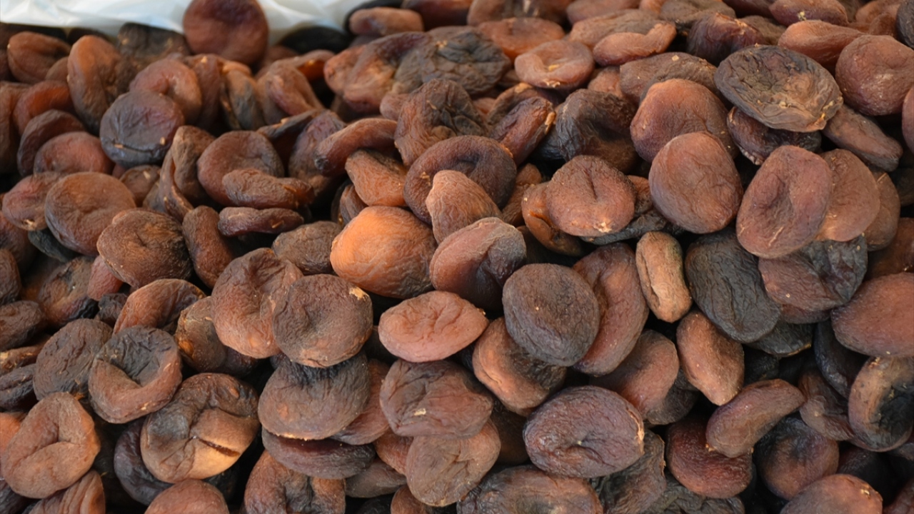 Yaklaşık 8 milyon kayısı ağacının bulunduğu kentte yetiştirilen kayısı, dünyanın damağını tatlandırmaya devam ediyor.