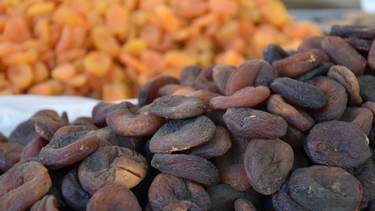 Malatya Ticaret Borsası Başkanı Ramazan Özcan, dünya genelinde görülen yeni tip koronavirüs (Covid-19) salgınına rağmen kuru kayısı ihracatının devam ettiğini söyledi.