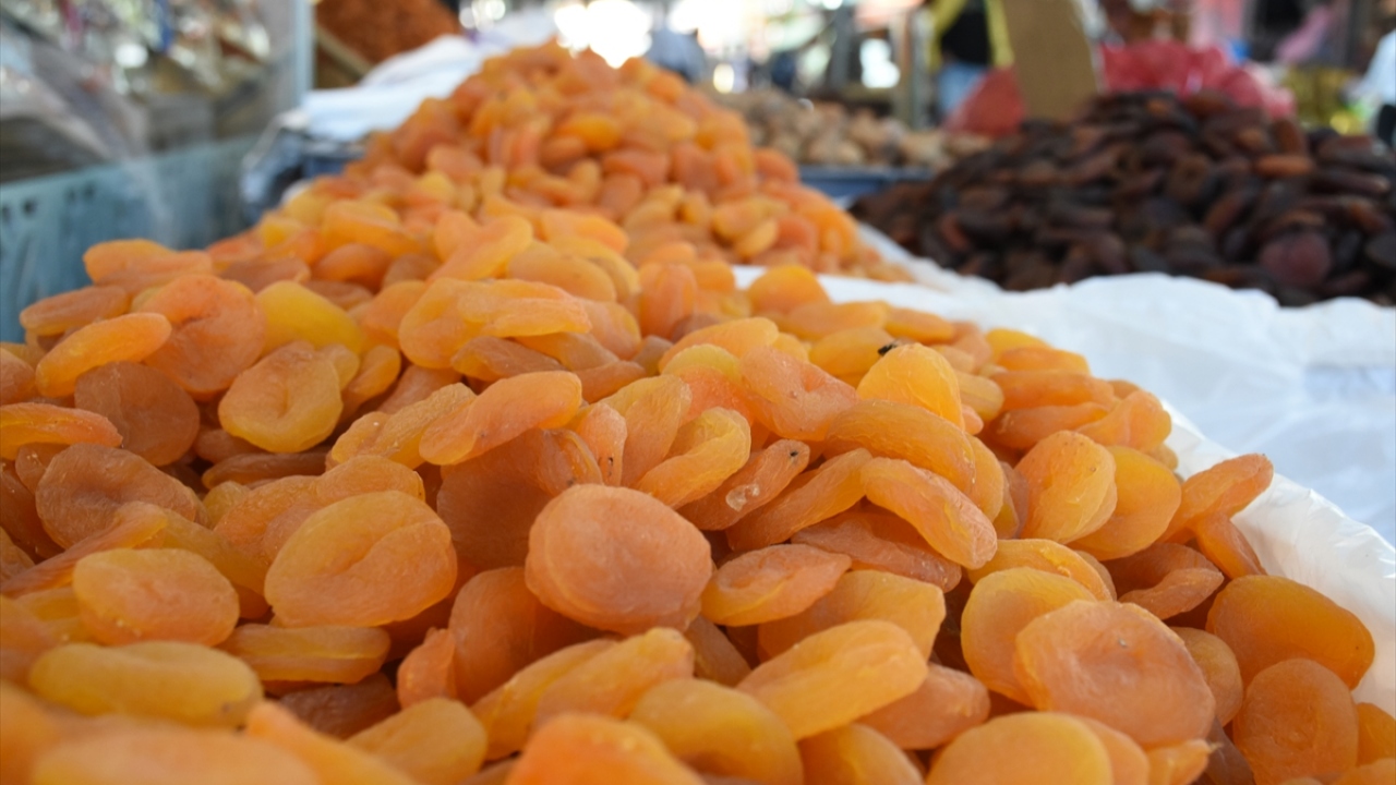 Geçen yılın aynı döneminde 67 bin 36 ton ihracata karşılık 171 milyon 305 bin dolar girdi sağlandığını hatırlatan Özcan, bu yılın ilk dokuz ayındaki ihracat rakamlarında düşüş olmasına rağmen elde edilen döviz girdisinin arttığını ifade etti.