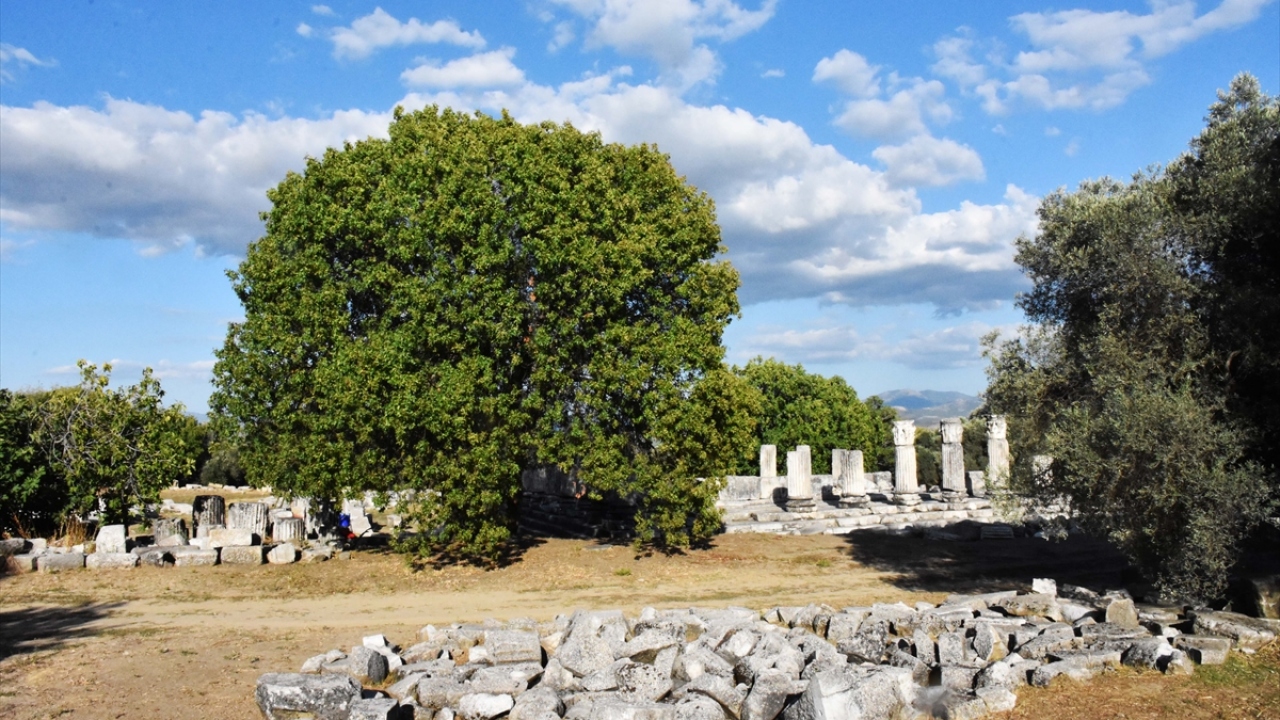 Tüm mimari blokların ait oldukları yerde kullanıldığına dikkati çeken Söğüt, kazılar kadar restorasyon ve konservasyon çalışmalarının da önemli olduğunu bildirdi.