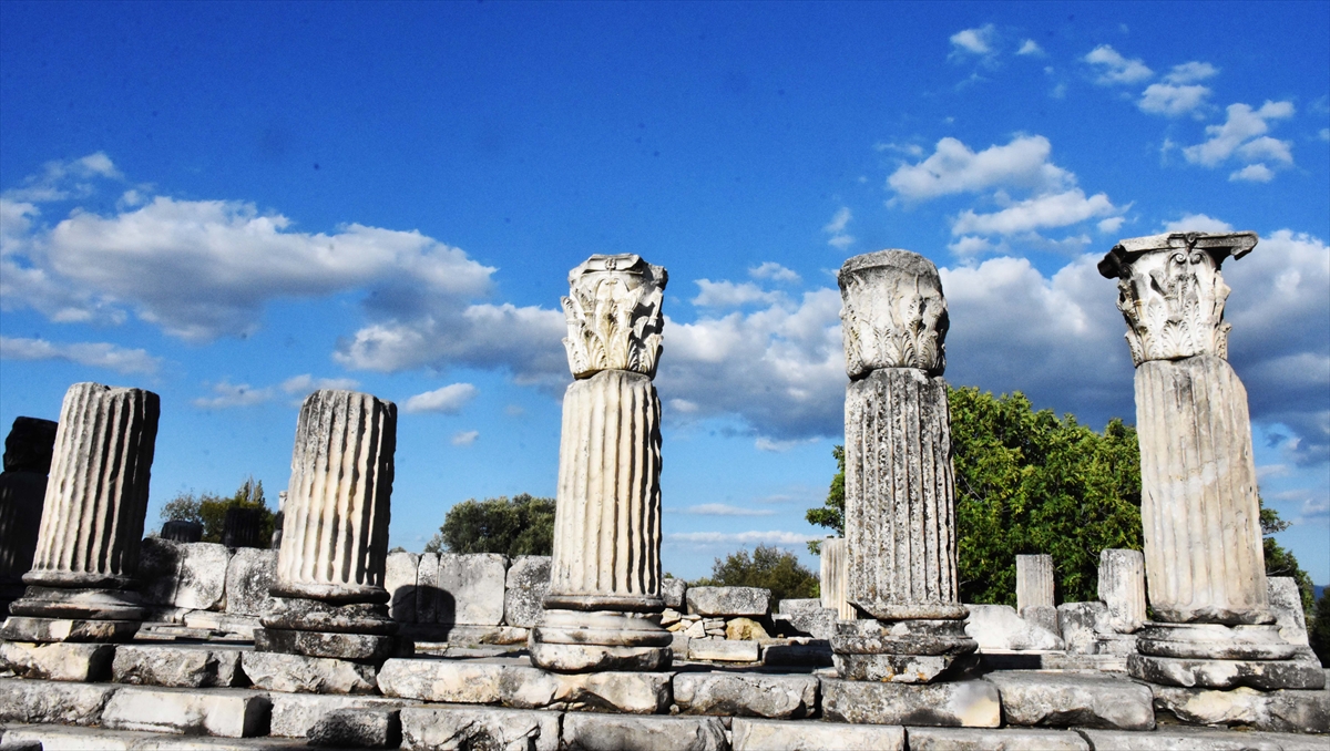 Kutsal alanda çalışma yürüttüklerine değinen Söğüt, yaklaşık 500 bloğun düzenlenerek gruplandırıldığını, düzenlenip yerlerine konulduğunu kaydetti.