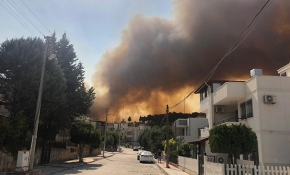 Hatay'da orman yangını: Yerleşim alanlarına sıçradı