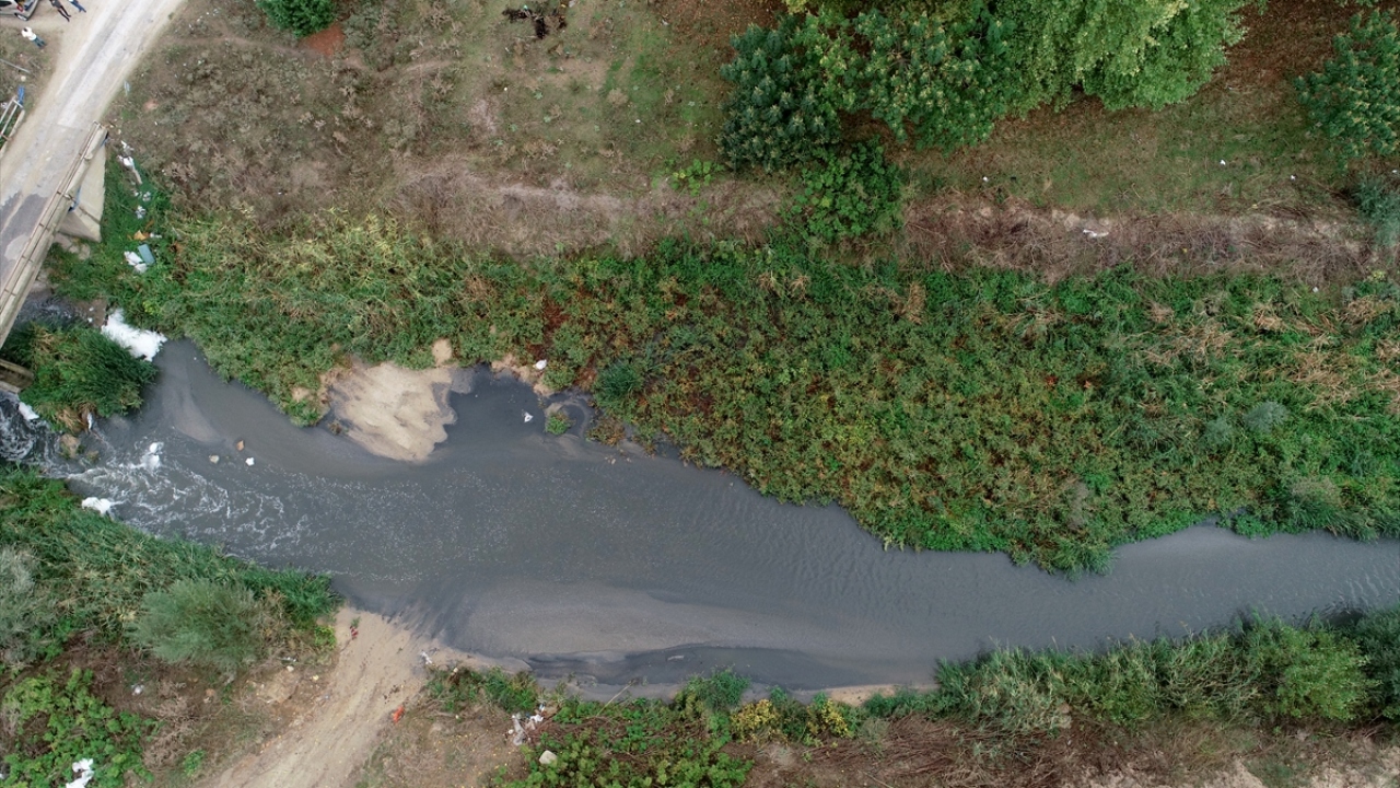 Dereden hayvanların su içemez duruma geldiğini anlatan Yılmaz, yetkililerden yardım beklediklerini ifade etti.