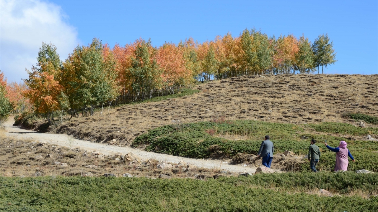 Sonbaharın tüm renklerinin bir arada görülebildiği Nemrut`a gelen ziyaretçiler, tabloları aratmayan eşsiz manzarayı çektikleri fotoğraflarla ölümsüzleştiriyor. 